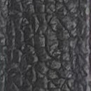 Coral - Black Mild - Sheep Leather